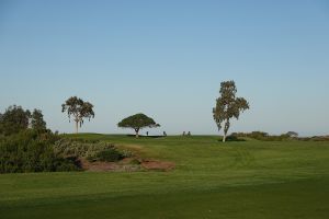 Torrey Pines (North) 3rd Trees
